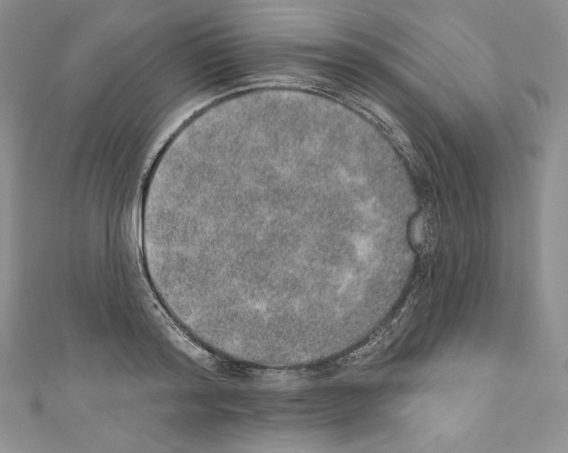 X0000110760796200907271143