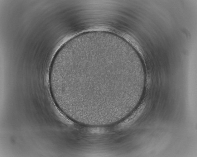 X0000110760797200907271143