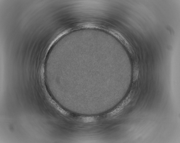 X0000110760798200907271143