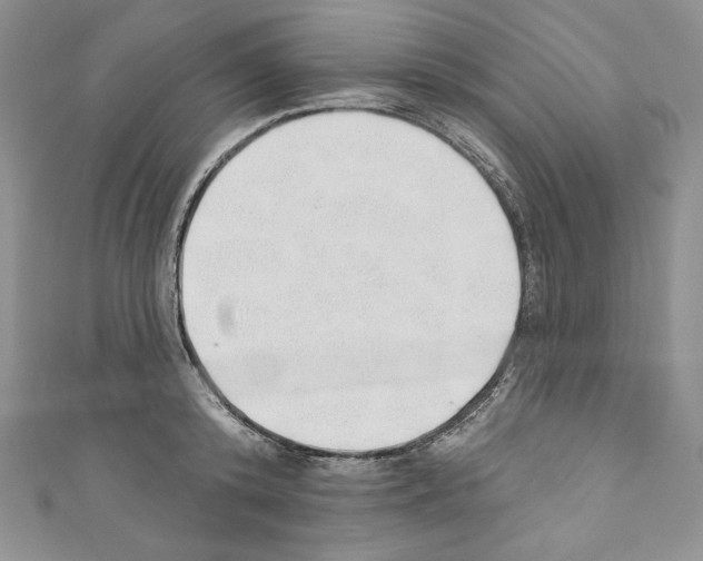 X0000110760800200907271143