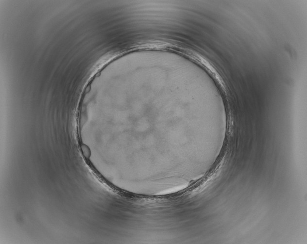 X0000110760802200907271143