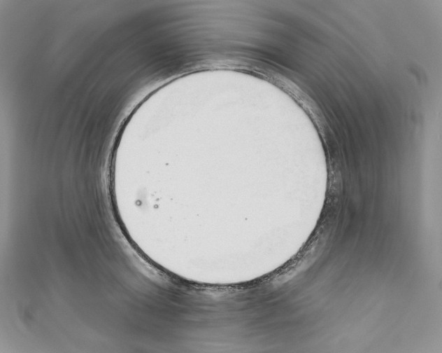 X0000110760803200907271143