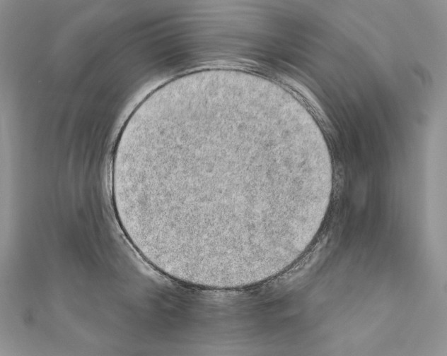 X0000110760804200907271142
