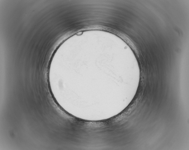 X0000110760805200907271142