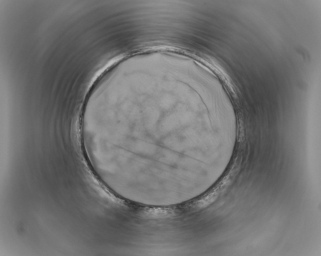 X0000110760806200907271142