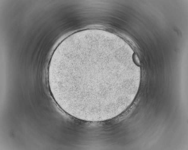 X0000110760808200907271142