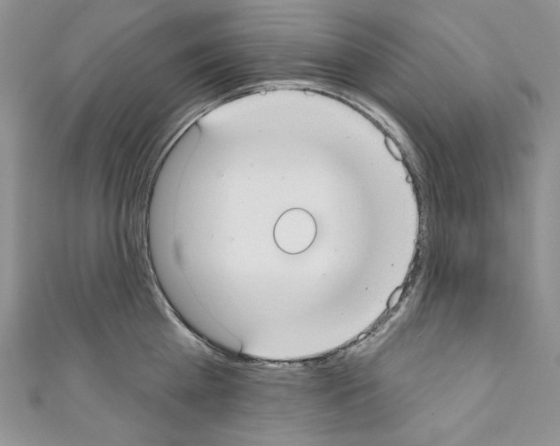 X0000110760809200907271142