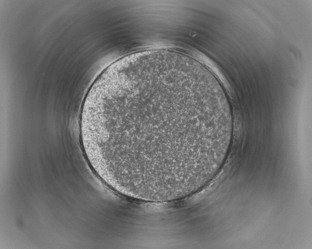 X0000110760810200907271142