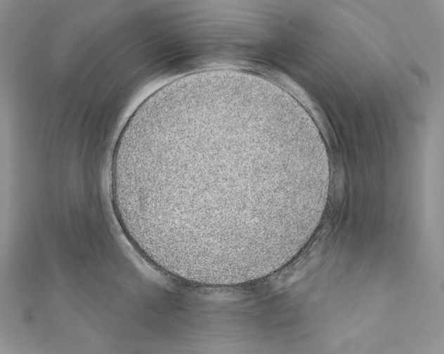 X0000110760811200907271142