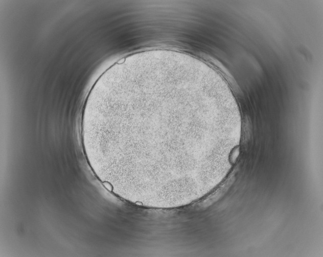 X0000110760812200907271142