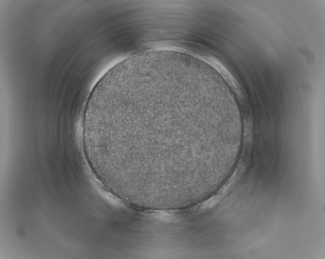 X0000110760814200907271142