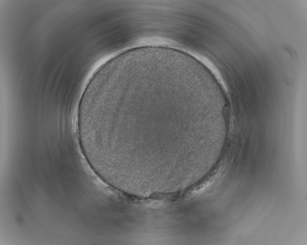 X0000110760815200907271142