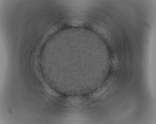 X0000110760817200907271142