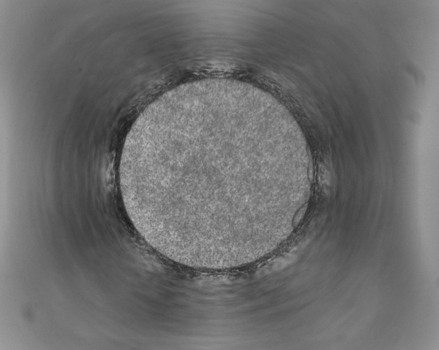 X0000110760818200907271142