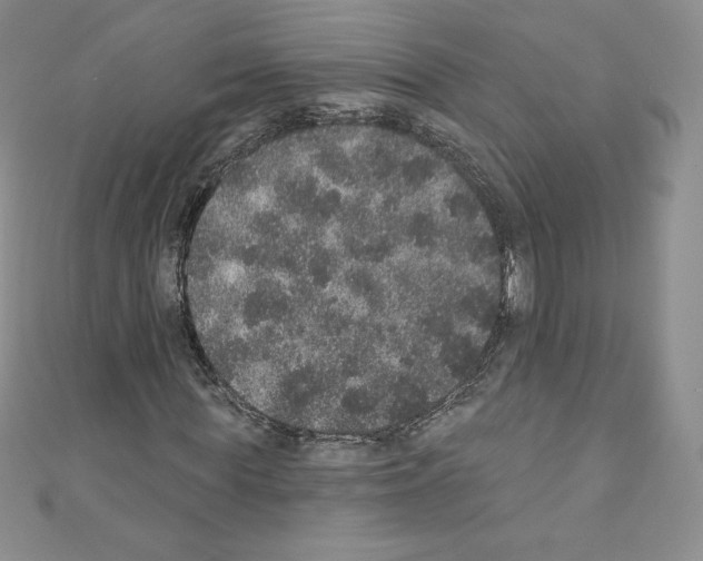X0000110760819200907271142