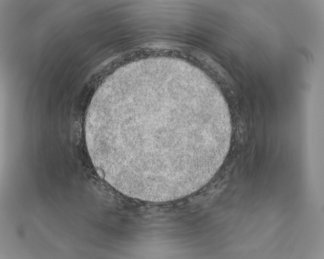 X0000110760821200907271142