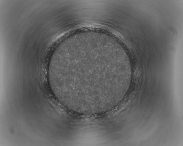 X0000110760822200907271142