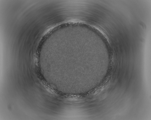 X0000110760823200907271142