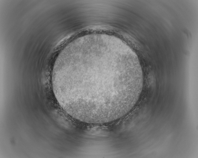 X0000110760824200907271142