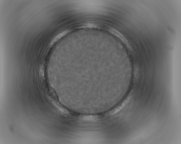X0000110760826200907271142
