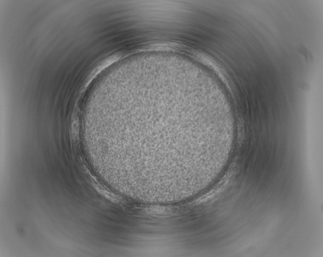 X0000110760827200907271142