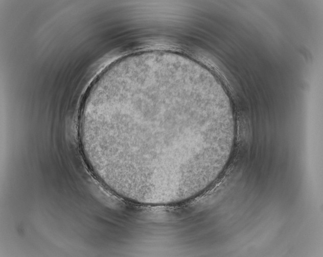 X0000110760828200907271142