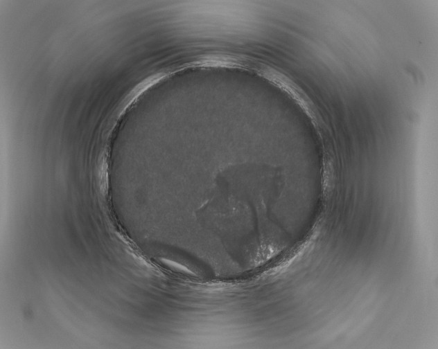 X0000110760829200907271142