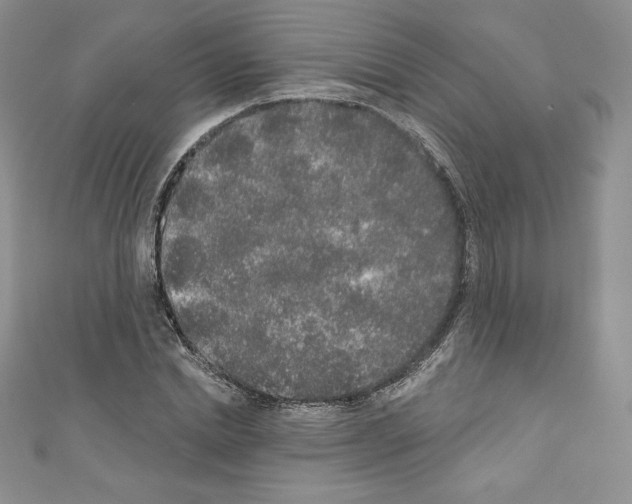 X0000110760830200907271142