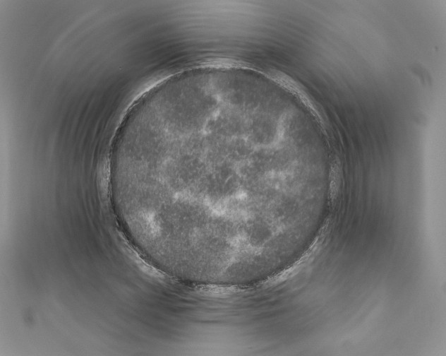 X0000110760831200907271142
