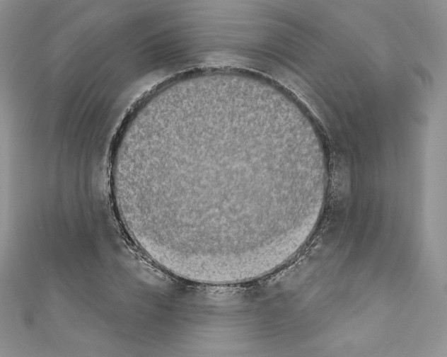 X0000110760832200907271142