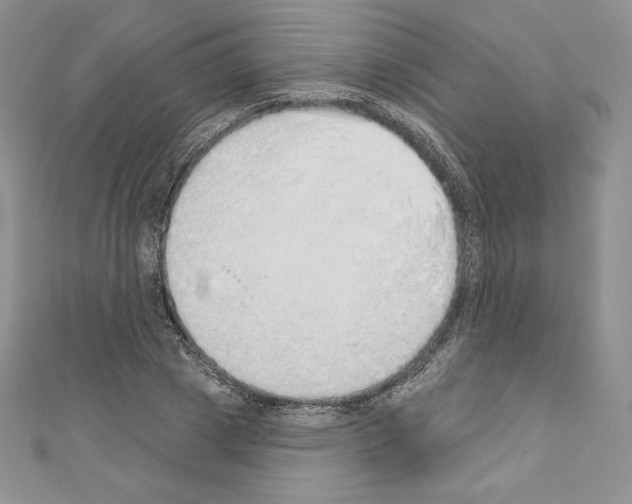 X0000110760833200907271142