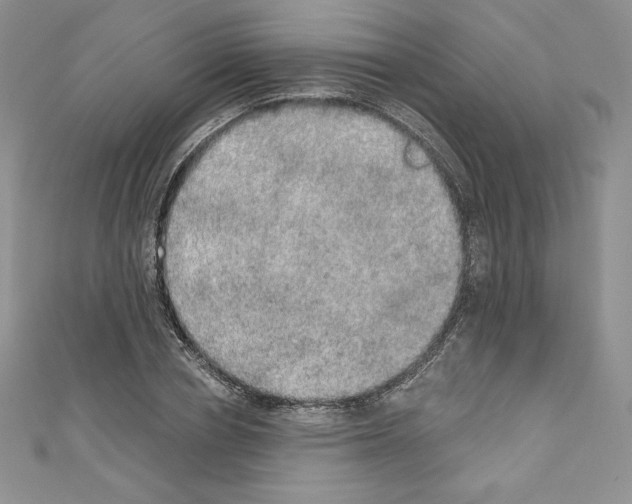 X0000110760834200907271142