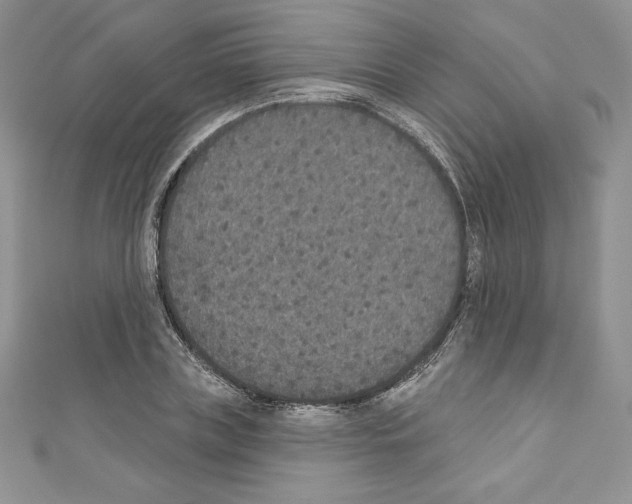 X0000110760835200907271142