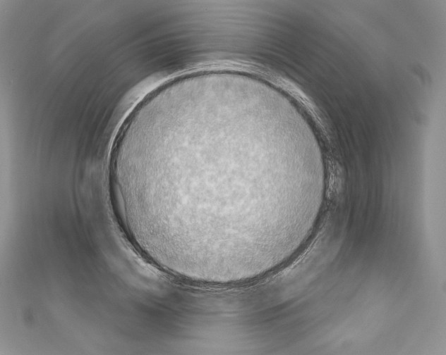 X0000110760836200907271142