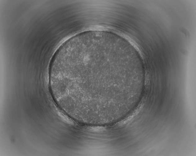 X0000110760837200907271142