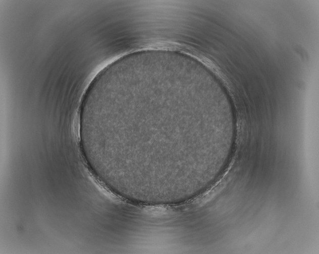 X0000110760838200907271142