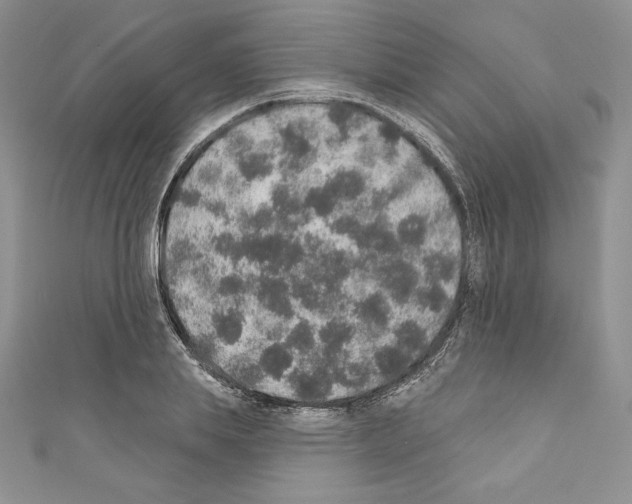 X0000110760839200907271142