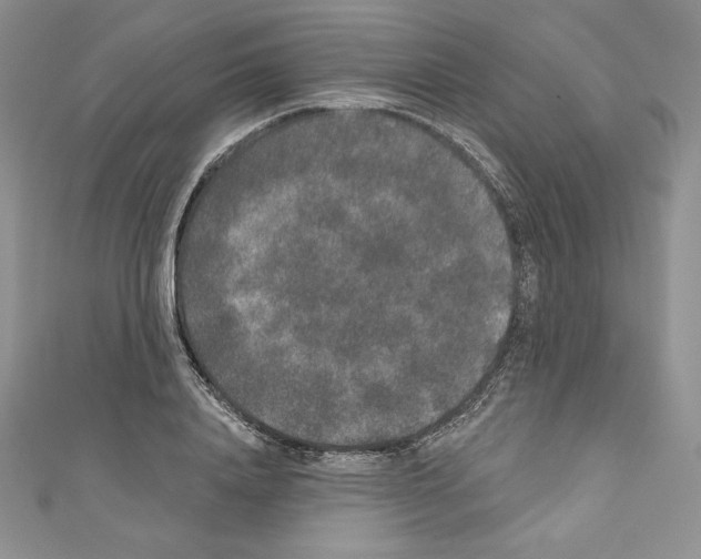 X0000110760840200907271142