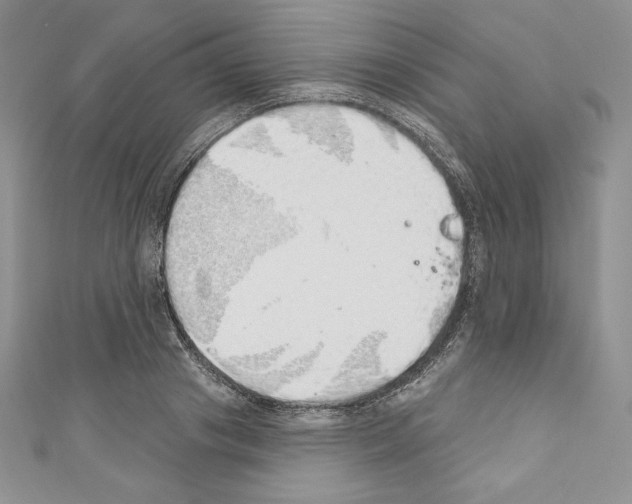 X0000110760841200907271142