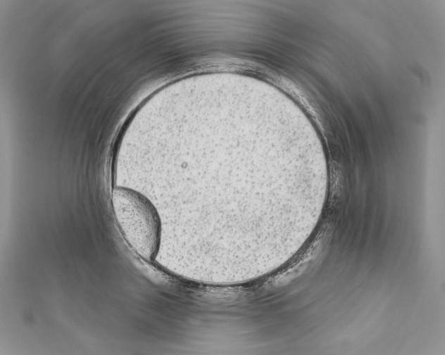 X0000110760843200907271142