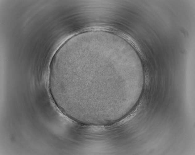 X0000110760844200907271142