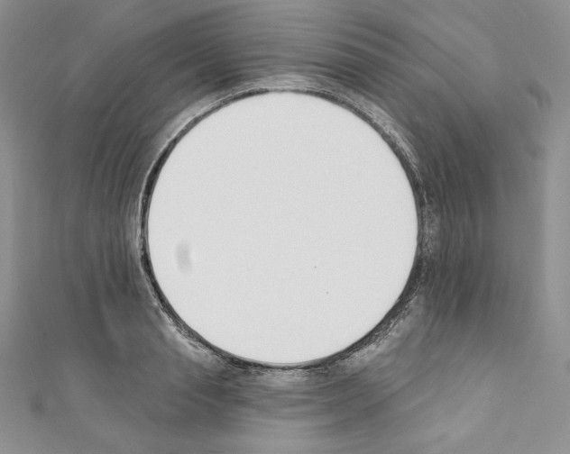 X0000110760845200907271142