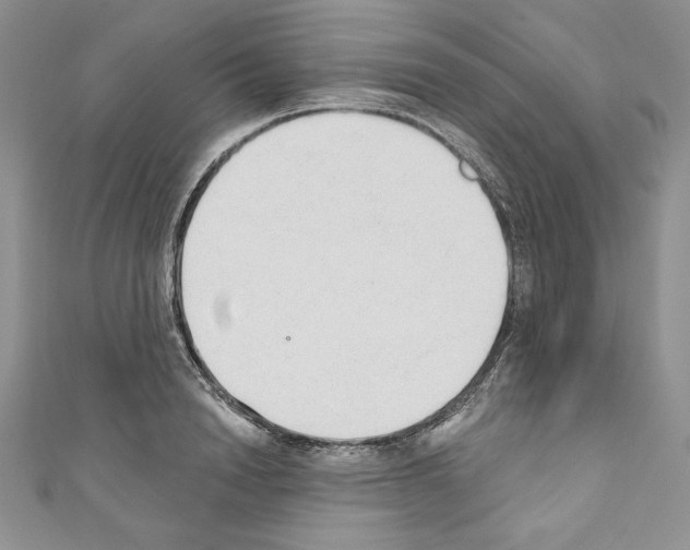 X0000110760846200907271142