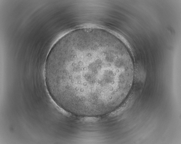 X0000110760847200907271142