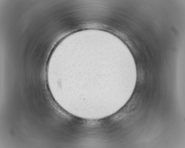 X0000110760848200907271142