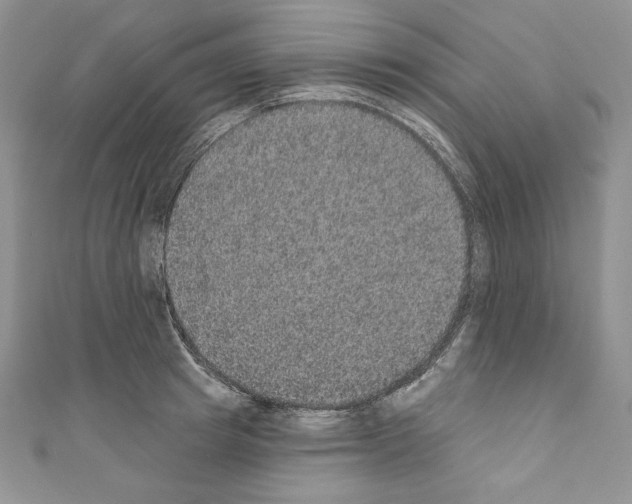 X0000110760849200907271142