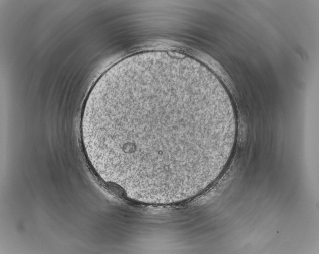 X0000110760850200907271142