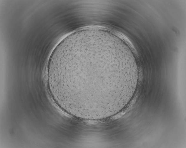 X0000110760852200907271142