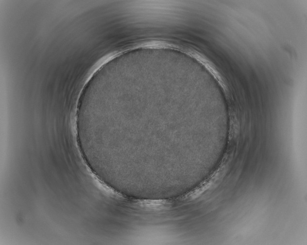 X0000110760853200907271142