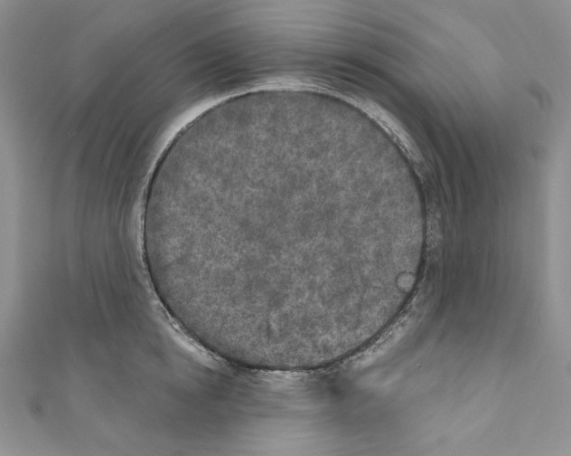 X0000110760854200907271142